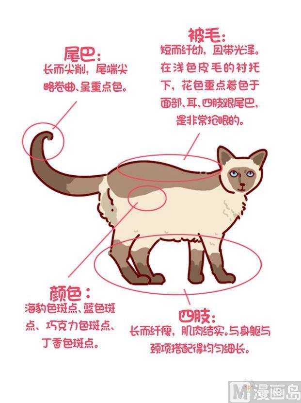 🍜有宠百科 第86话 第5页