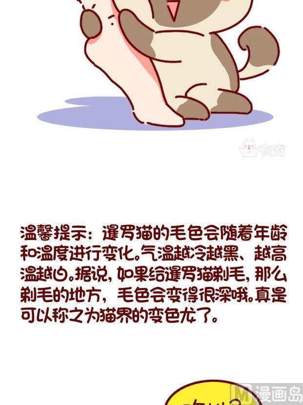 🍜有宠百科 第86话 第7页