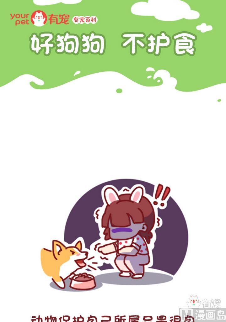 🍜有宠百科 第90话 第1页
