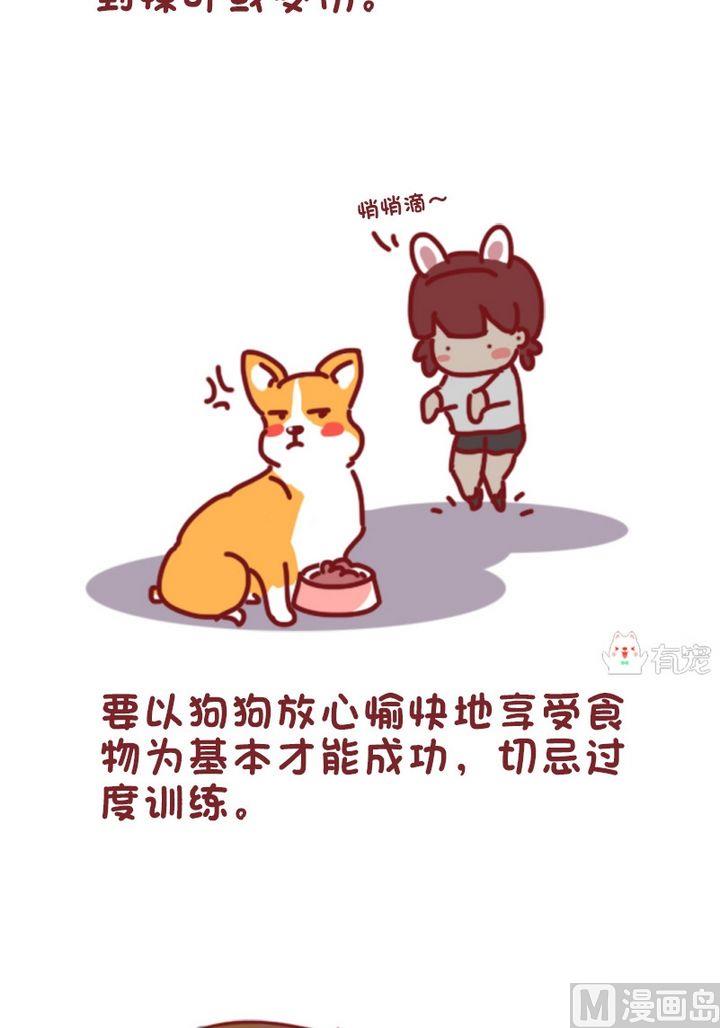🍜有宠百科 第90话 第3页
