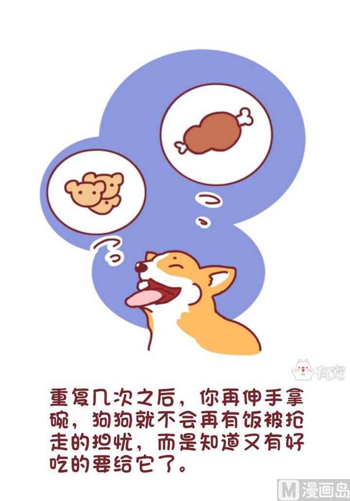 🍜有宠百科 第90话 第6页