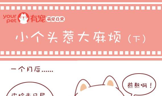 🍜有宠百科 第10话 第1页