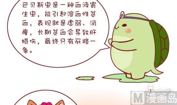 🍜有宠百科 第10话 第12页