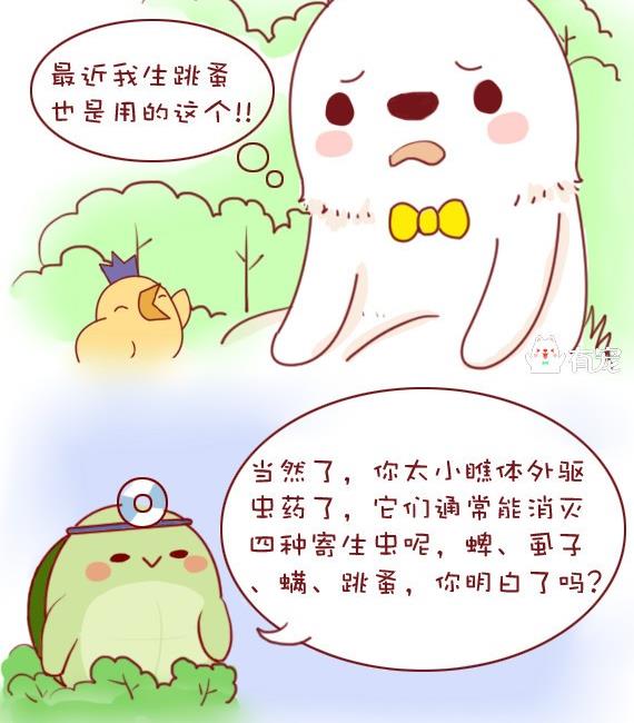 🍜有宠百科 第10话 第16页