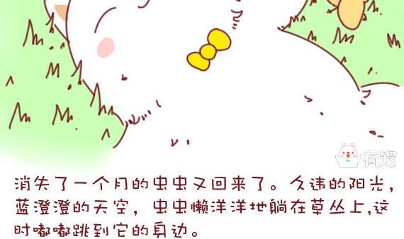 🍜有宠百科 第10话 第4页