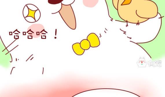 🍜有宠百科 第10话 第8页