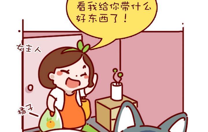 🍜有宠百科 第94话 第16页