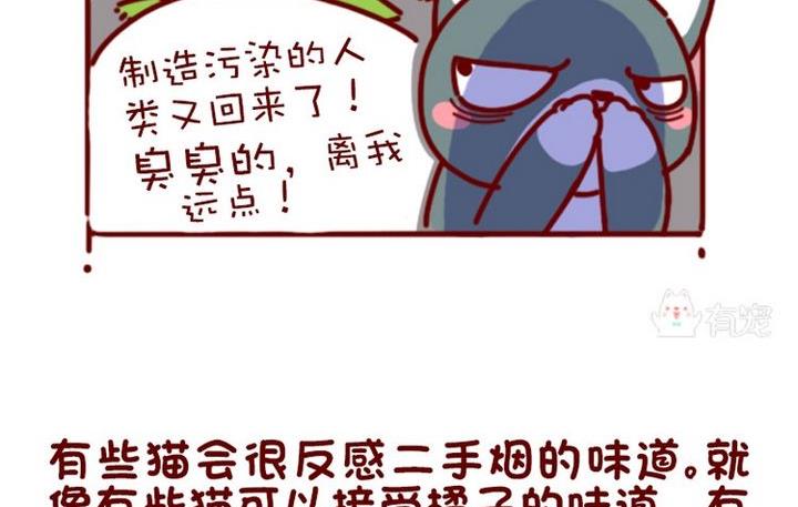 🍜有宠百科 第94话 第17页