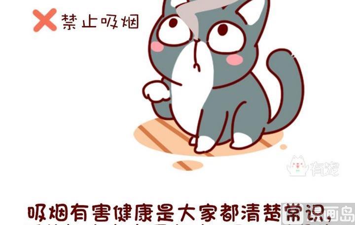 🍜有宠百科 第94话 第3页