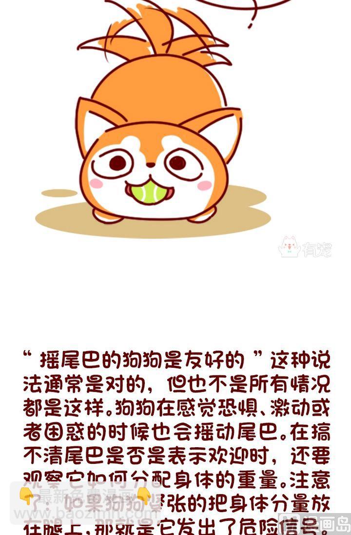 🍜有宠百科 第96话 第2页