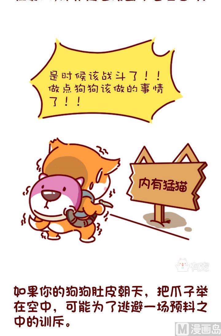 🍜有宠百科 第96话 第3页