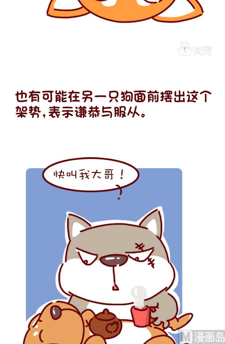🍜有宠百科 第96话 第6页