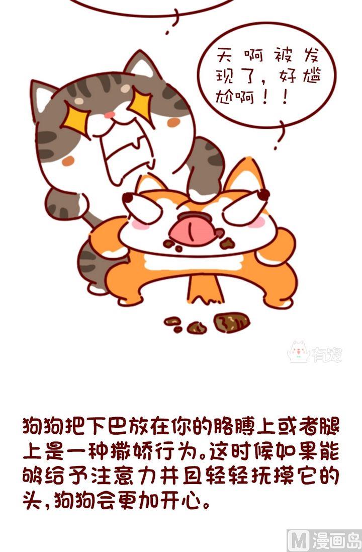 🍜有宠百科 第96话 第8页