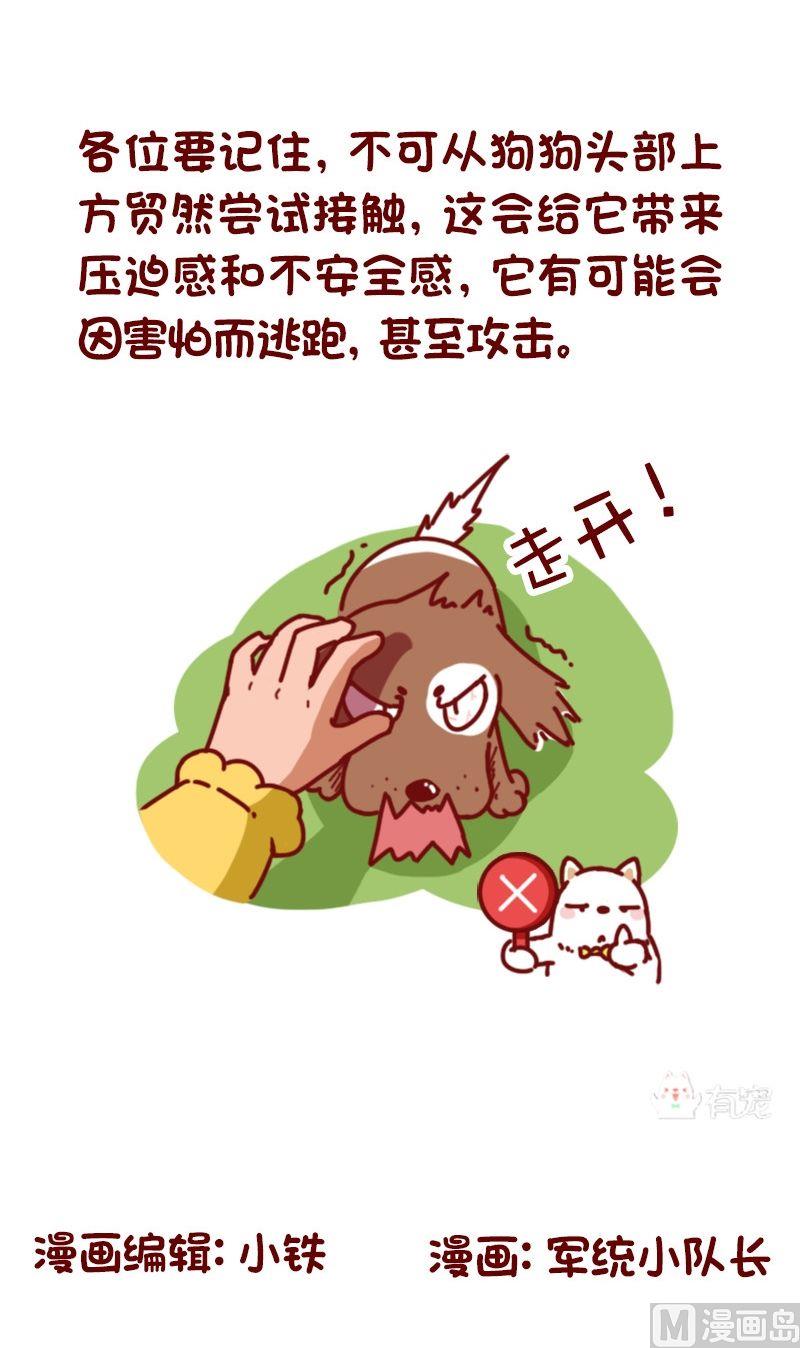 🍜有宠百科 第98话 第5页