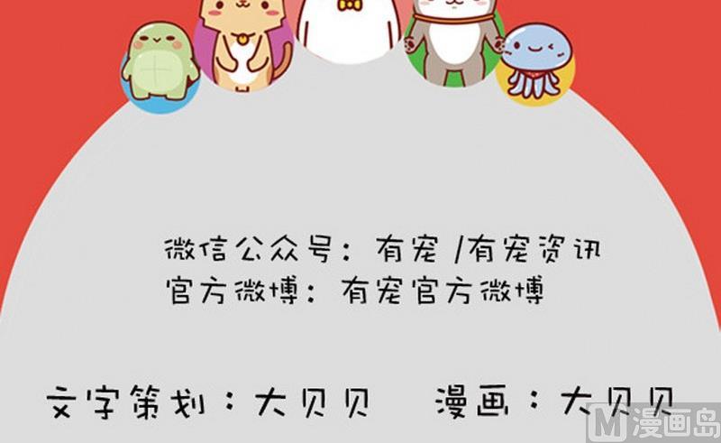 第12话-第12话