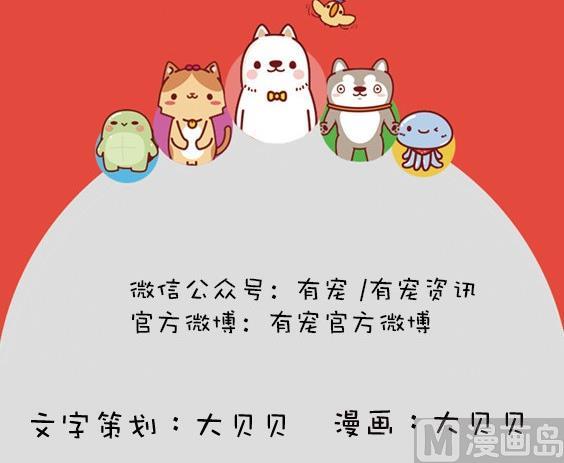 第16话-第16话