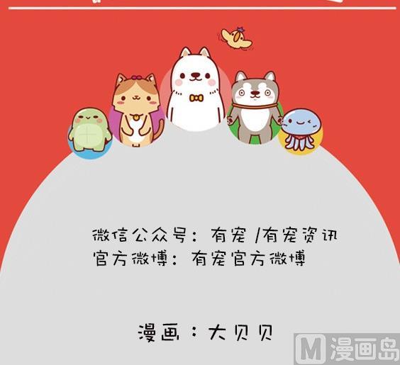 第4话-第4话
