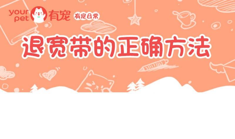 第16话-第16话