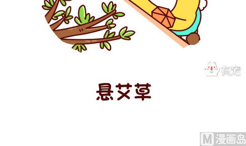 第20话-第20话