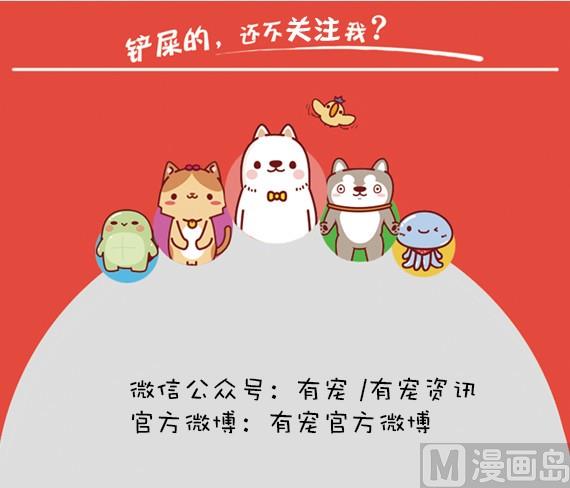 第22话-第22话