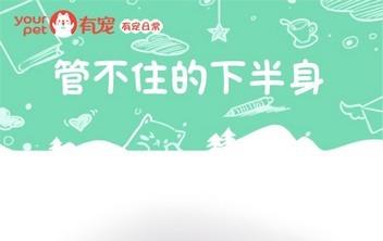 第26话-第26话