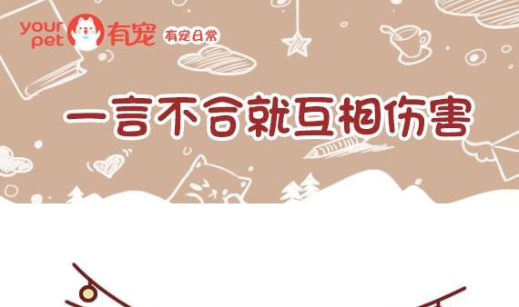 第28话-第28话