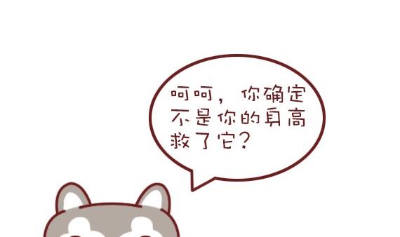 第28话-第28话