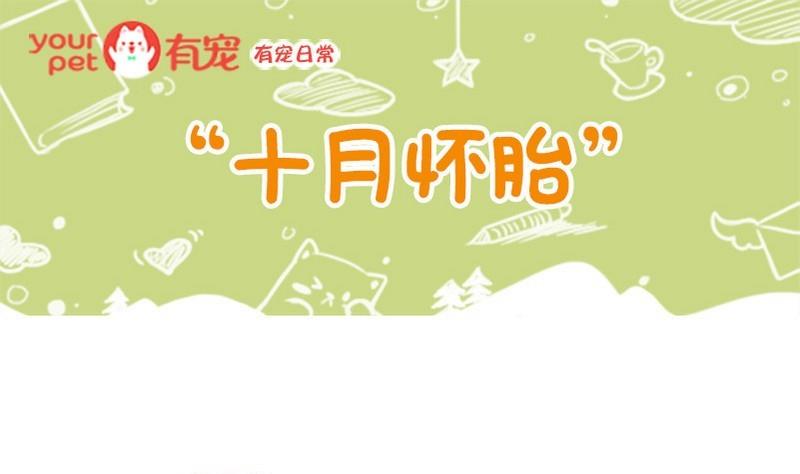 第36话-第36话