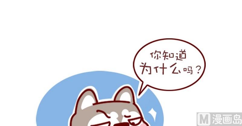第42话-第42话