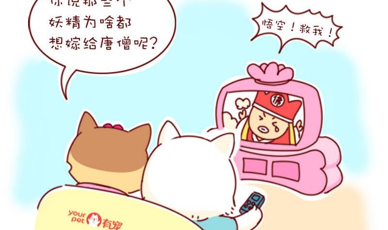 第10话-第10话