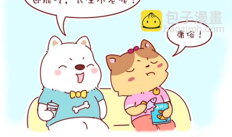 第10话-第10话