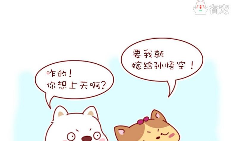 第10话-第10话