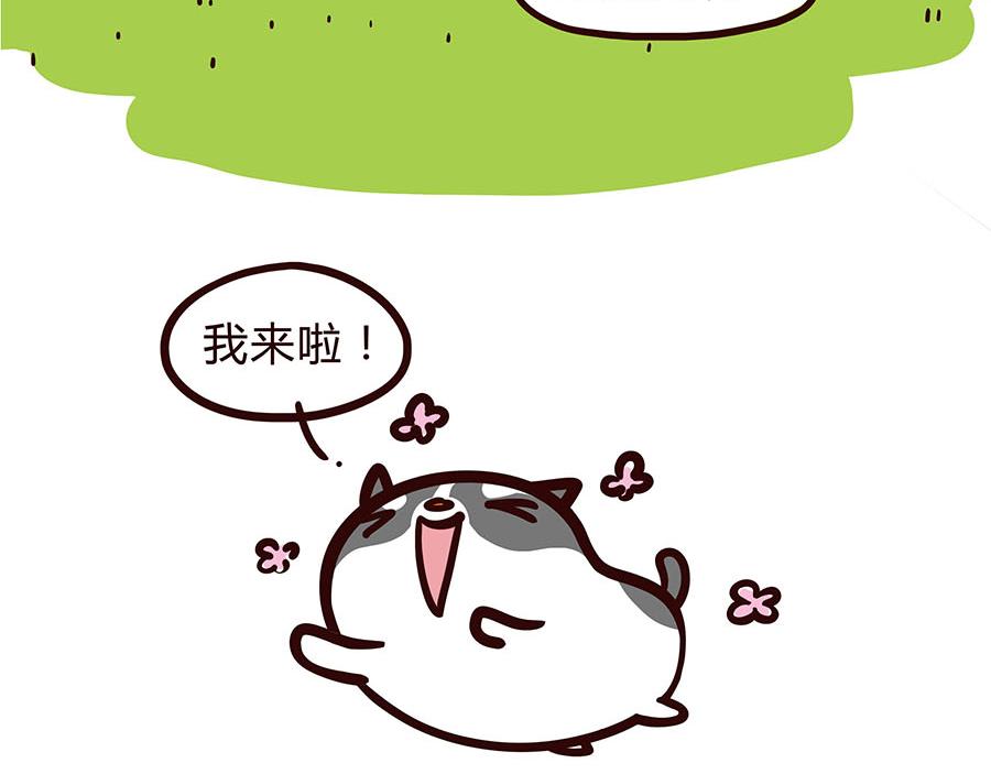 有才华-第44话