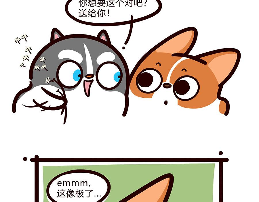 你喜欢他什么？？-第52话