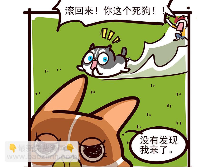 你喜欢他什么？？-第52话