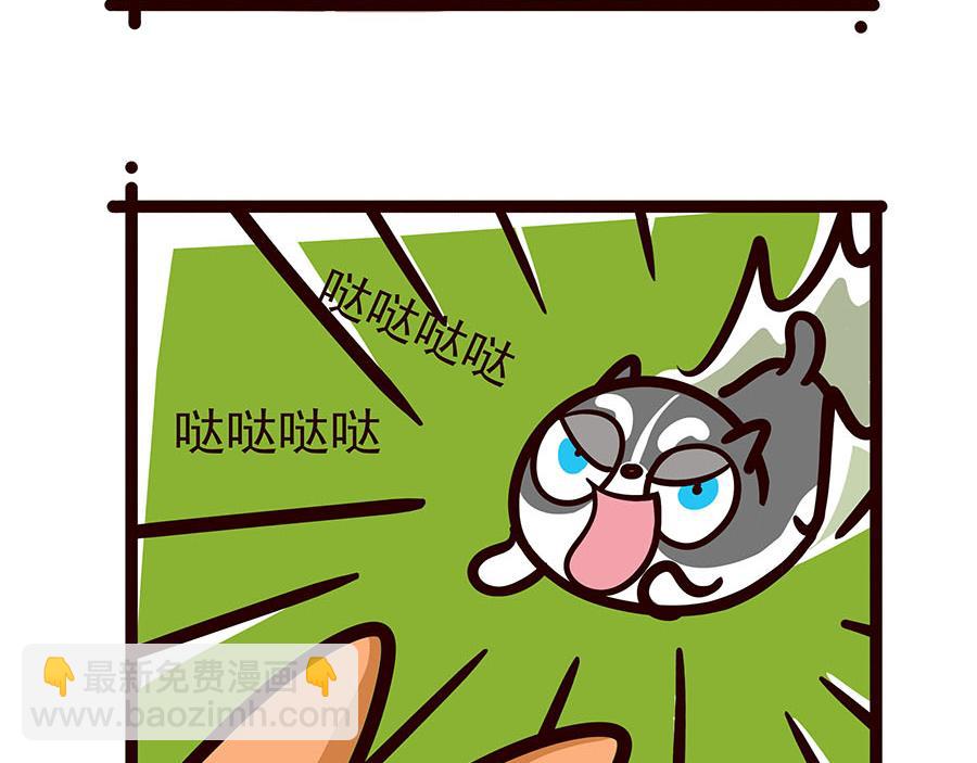 你喜欢他什么？？-第52话