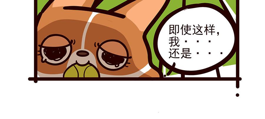 你喜欢他什么？？-第52话
