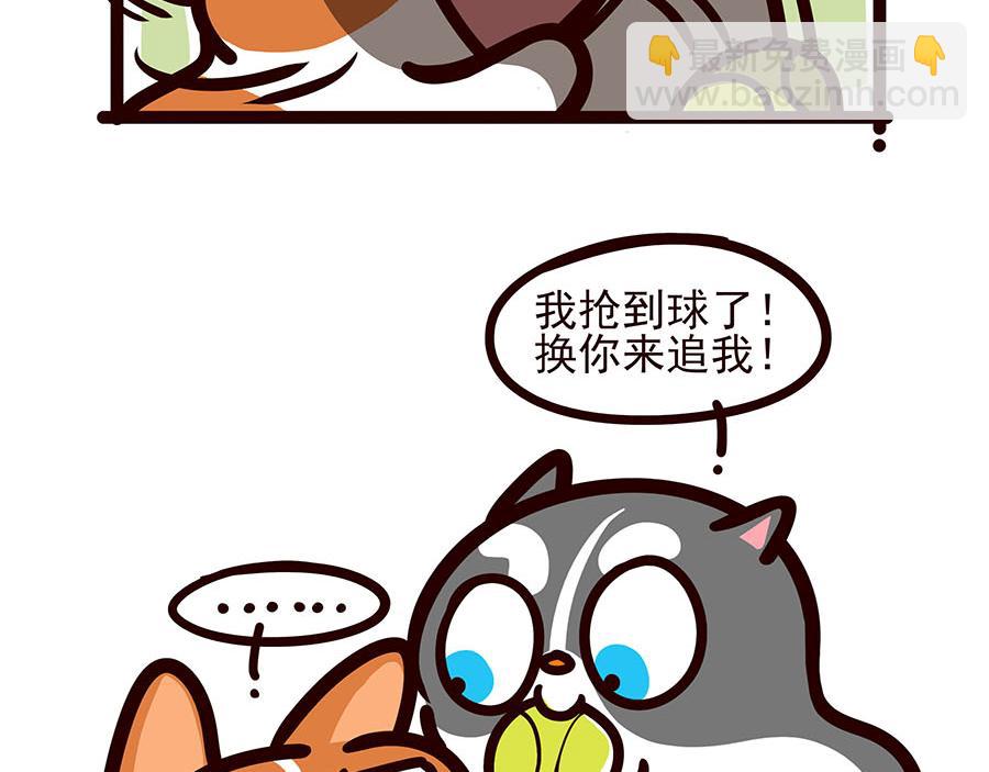 你喜欢他什么？？-第52话