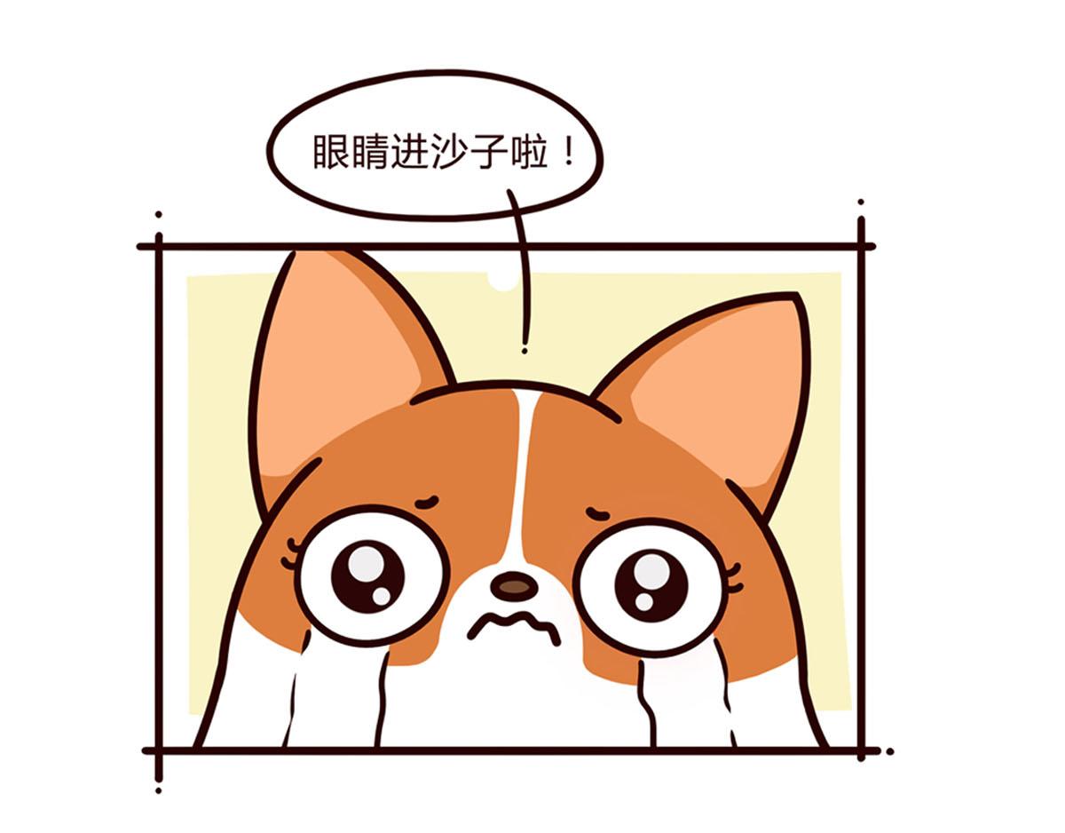 你是我撩不动的崽(1/2)-第6话