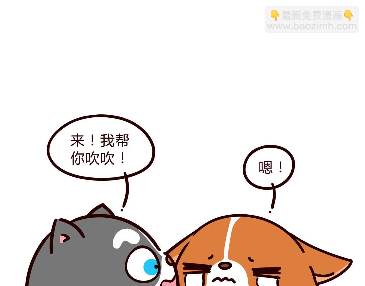 你是我撩不动的崽(1/2)-第6话