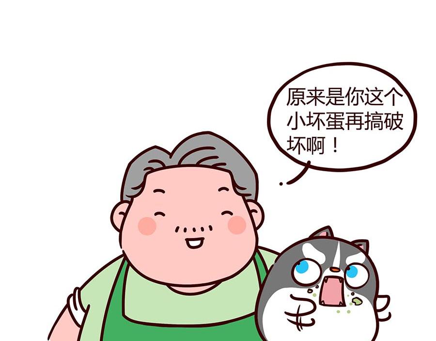 大厨的诞生(1/2)-第8话