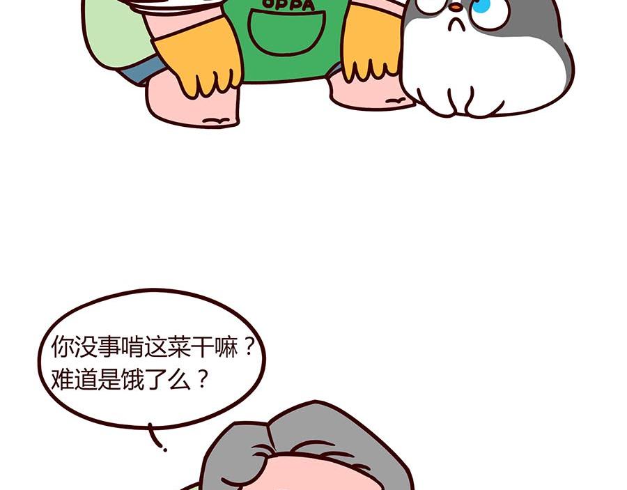 大厨的诞生(1/2)-第8话