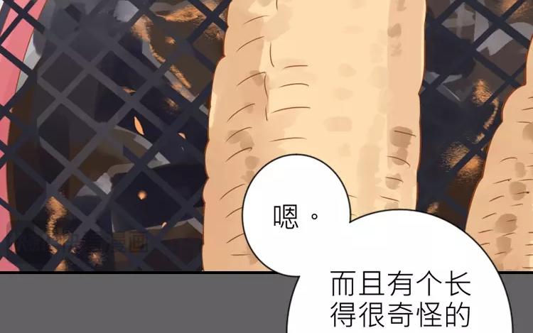 第16话 你做的我一早就知道了(1/2)-第16话