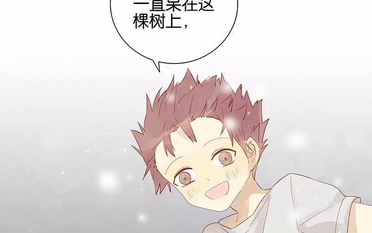 第48话 真正的心意-第48话