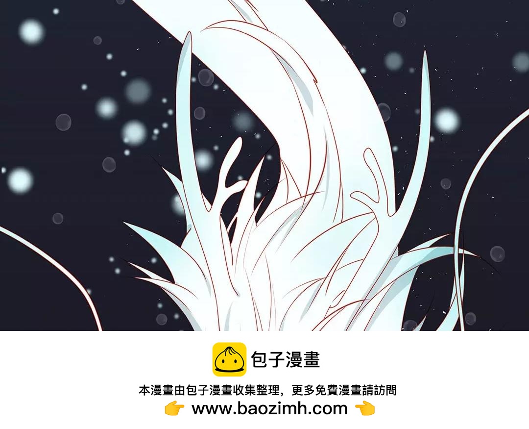 第66话 泷的出身(1/2)-第66话
