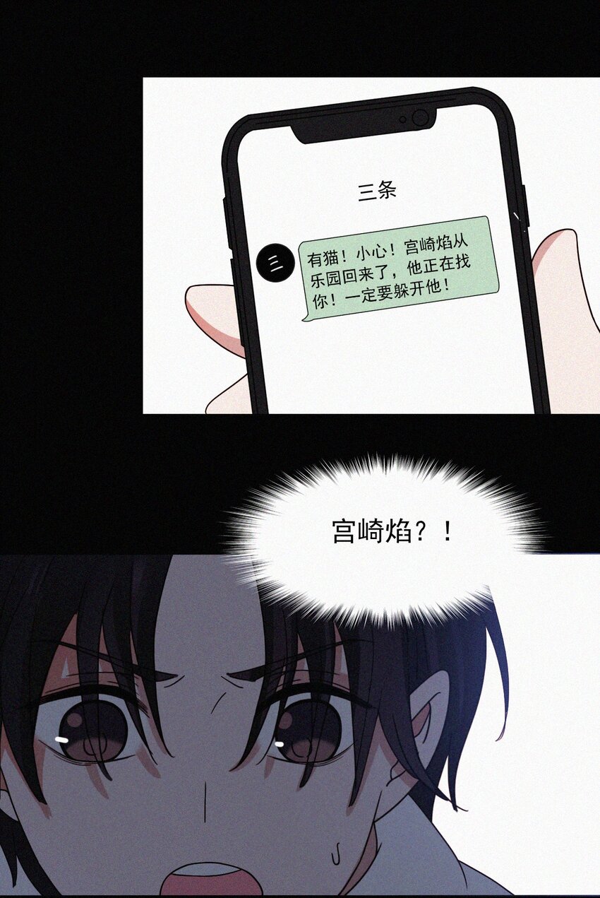 062 你好呀，小猫咪！-第66话