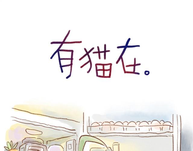 缝隙是猫的小秘密-第16话