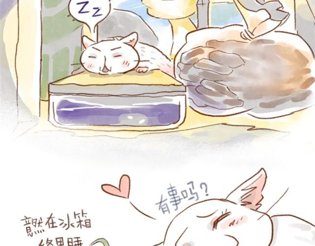 缝隙是猫的小秘密-第16话