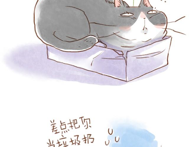 缝隙是猫的小秘密-第16话