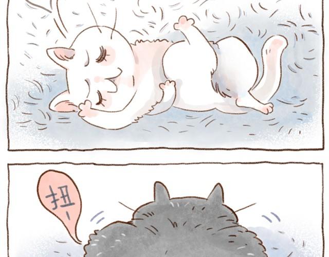 缝隙是猫的小秘密-第16话